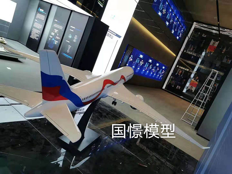 兴和县飞机模型